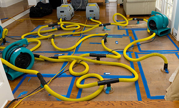 Professional Burst Pipe Water Damage technician working in Harsens Island, MI