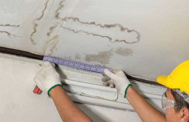 Affordable Water Damage Repair solutions in Harsens Island, MI